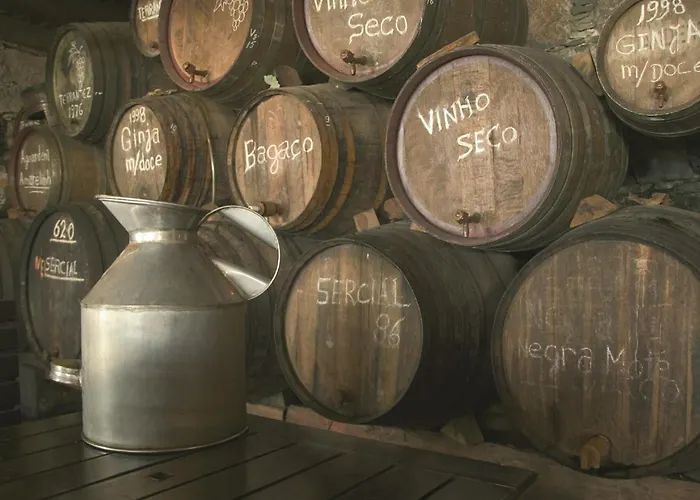 Quinta Do Estreito 4* 카메라데로보스